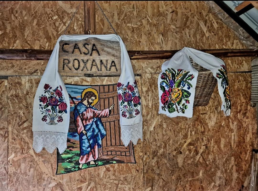 Casa Roxana Villa Viseu de Mijloc Eksteriør bilde