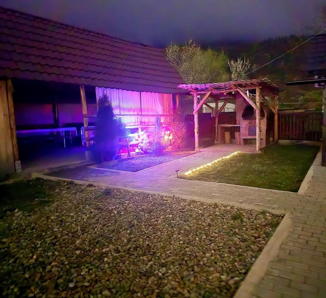Casa Roxana Villa Viseu de Mijloc Eksteriør bilde